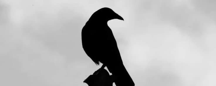 It's time to quit crypto.