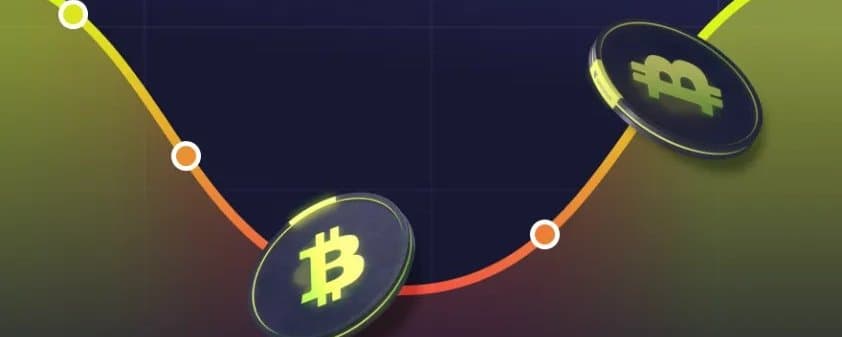 📉 Bitcoin Crashes Below $80,000 But… What’s Next?