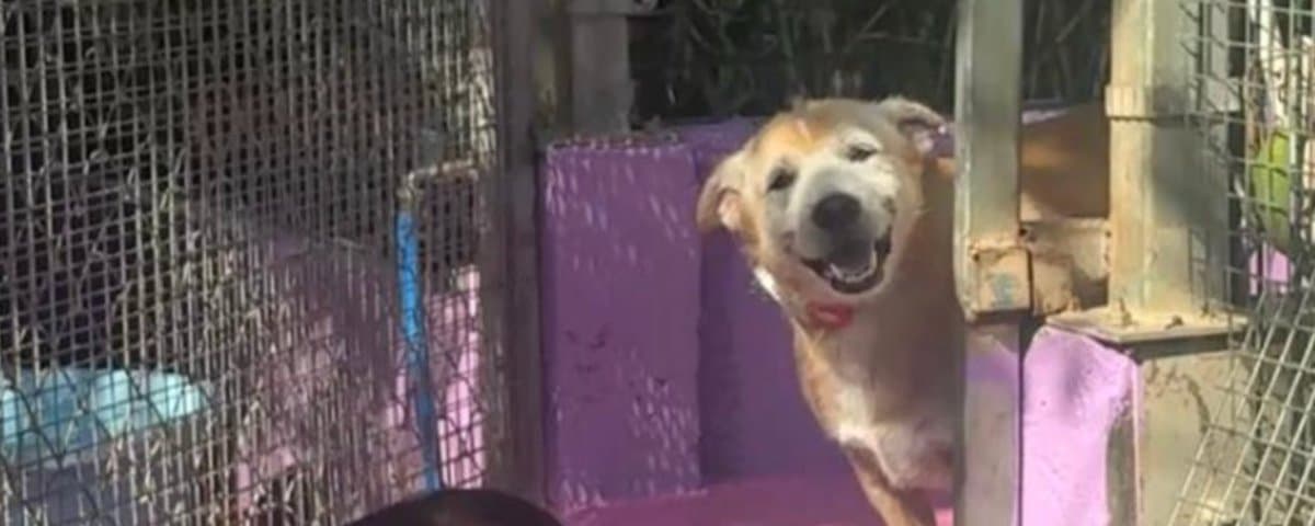 People Just Want To Be Happy And Kind