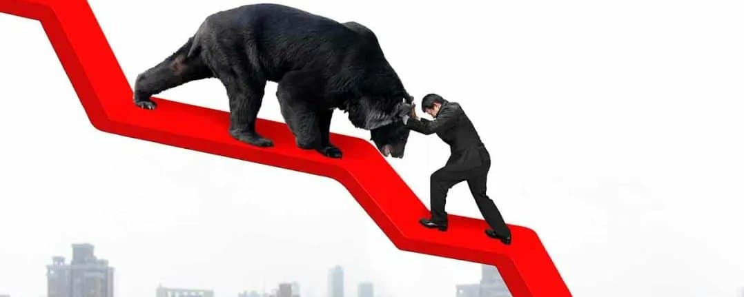 ⚡️ Despite the Recent Bitcoin Shakeouts Holders Accumulated over 200,000 BTC