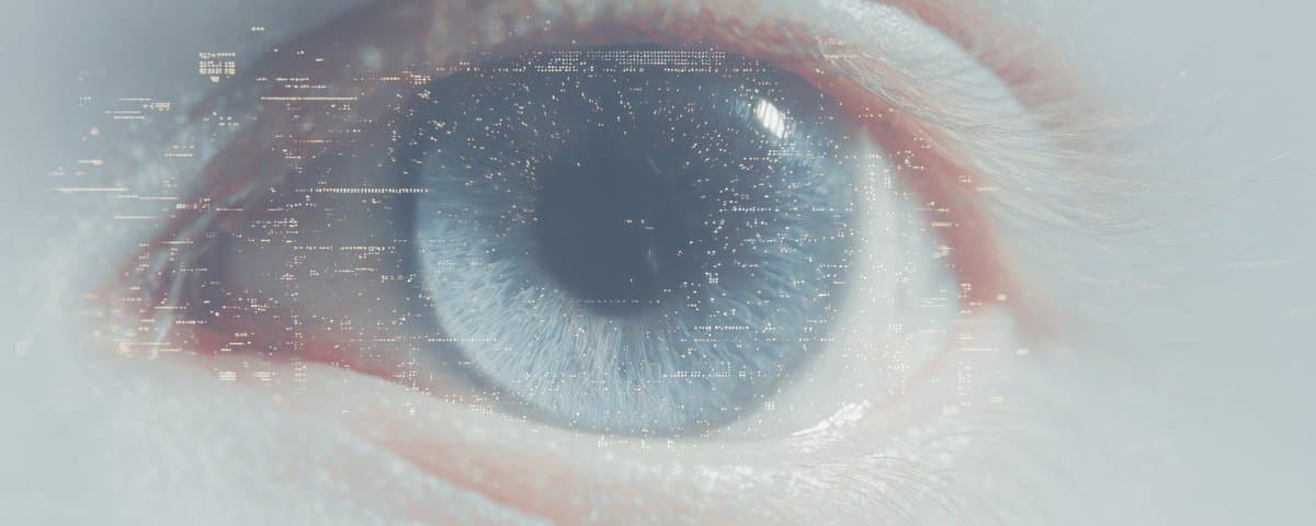 What Went Wrong –– The Attention Economy as Superstimulus